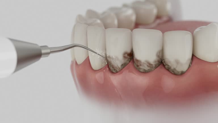 Reliable Dental contractor in Hendersonville, TN by Dentist Open Now